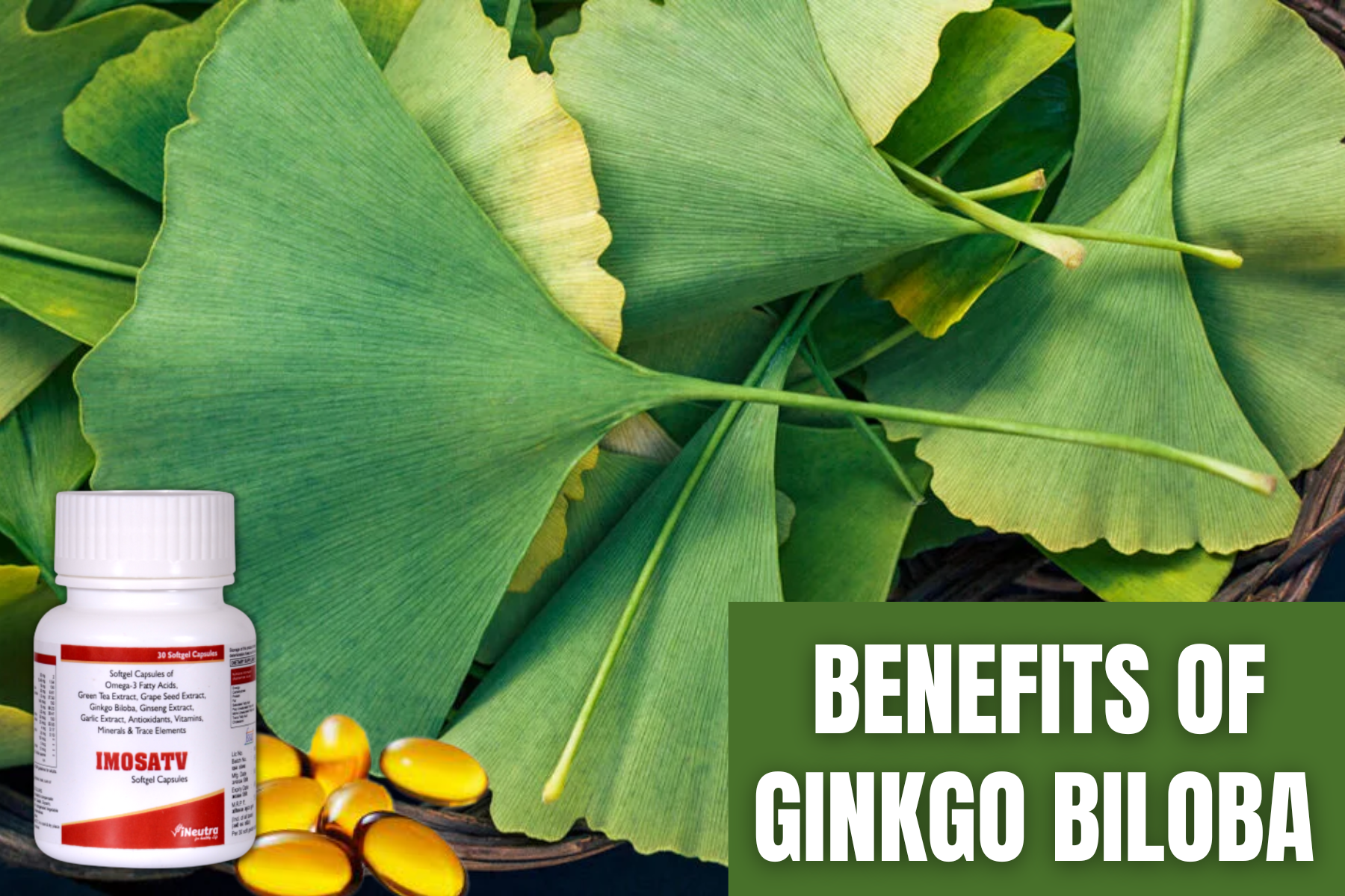 Benefits of Gingko biloba